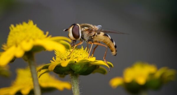 揭秘投资10元一小时赚500的秘密：无敌网赚论坛深度解析