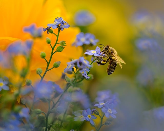 说钱网独家揭秘：网络竞价赚钱技巧与策略，让你在网赚项目中脱颖而出