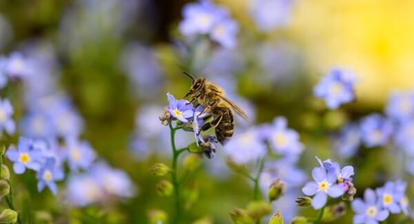 百度站长工具全攻略：如何利用工具提升网站流量，让你的网赚项目更具竞争力