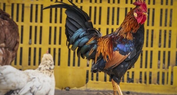 【创业故事】深度网赚论坛分享：创业故事论坛，创业路上不孤单！