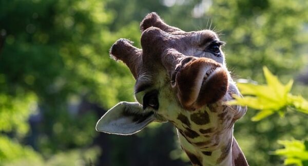 【热门创业项目大盘点】说钱网揭秘：如何通过网络竞价赚钱，实现财务自由