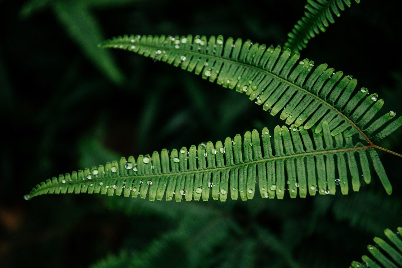 暮沉网创项目实战教学：SEO优化与网赚项目的完美结合，实现最大化收益