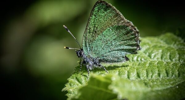 百度分享技巧分享，提升网站用户互动与粘性！