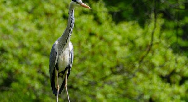 【深度剖析】创业网论坛如何助你一臂之力，轻松实现网上创业梦想