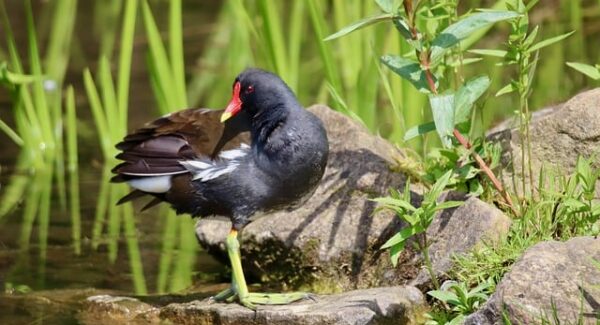 【站长网赚】站长网赚论坛分享：如何出售友情链接，提升网站流量？