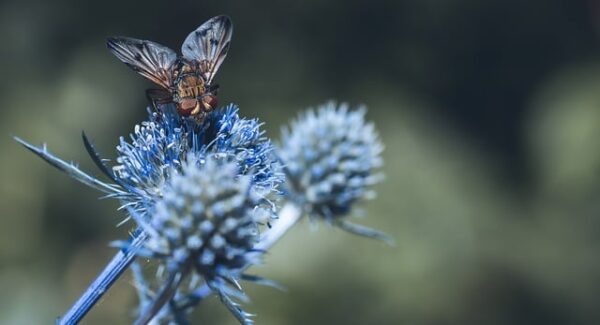 【创业商机】创业商机网分享：创业网致富网是真的吗？如何把握商机？