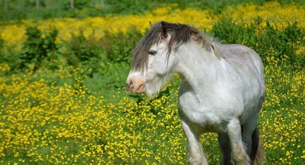 挂机赚钱新途径：一小时75元，让你躺着也赚钱