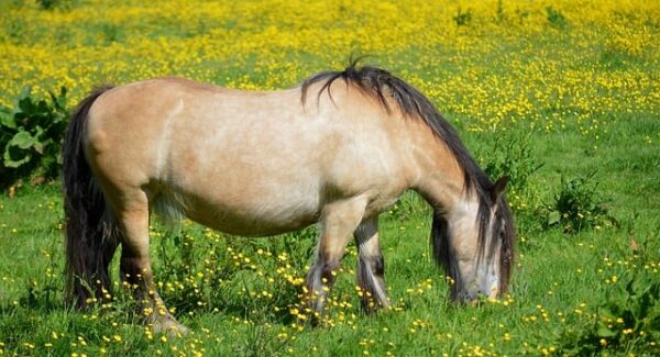 刷视频也能赚钱？揭秘日挣300元的微信小兼职