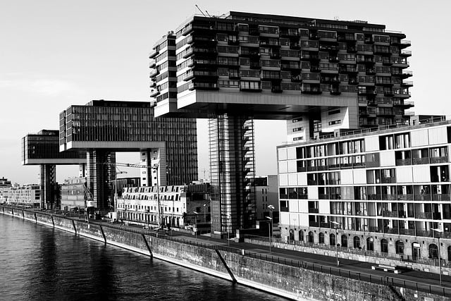 月云网赚论坛实战分享：从网络赚钱教程到项目资源网站，全方位助力你的网络创业