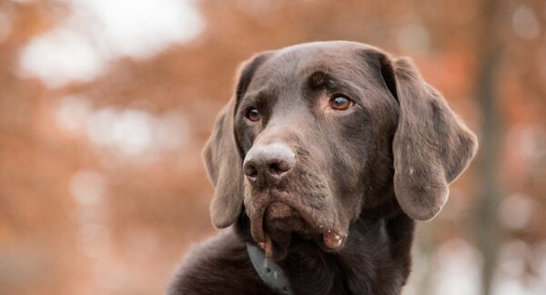 【网站赚钱实战】从零开始，学习网站赚钱全攻略！