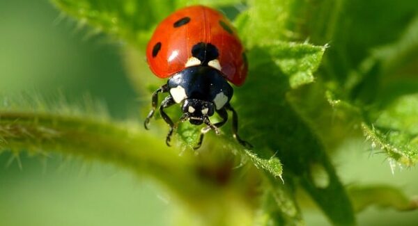 暮沉资源站独家推荐：揭秘真实网络赚钱项目，轻松开启你的网赚之路！