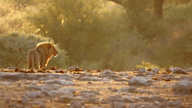 猎富团独家项目曝光：创业网致富网真实性大考察，助你避免网络创业陷阱