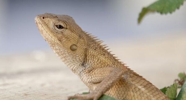 打字赚钱APP推荐：一单一结，轻松上手