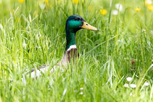 中创网赚论坛秘籍：利用网站排名技术提升个人SEO收益