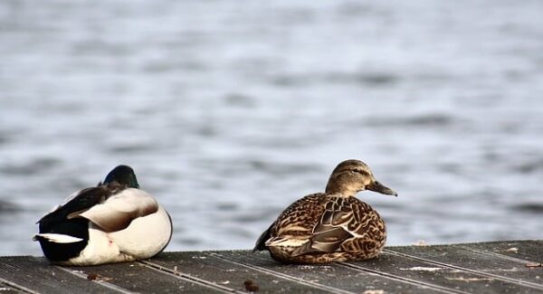 网站赚钱秘诀分享：从网赚培训到实战操作，助你打造高效网赚平台