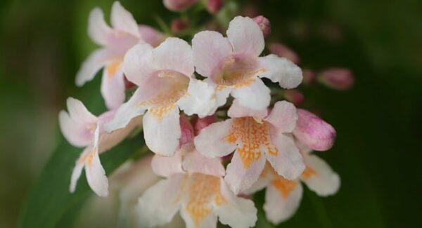 零投资日赚1000元秘籍：揭秘网上赚钱最可靠的10种方法