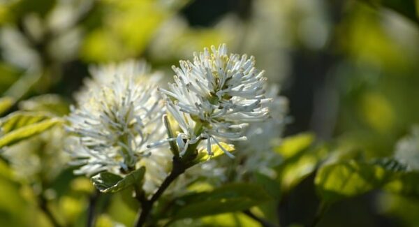 【关键词优化】百度关键词价格揭秘，如何选择高性价比关键词？