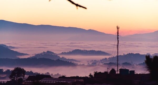 挣钱网站大比拼：哪个更适合你？