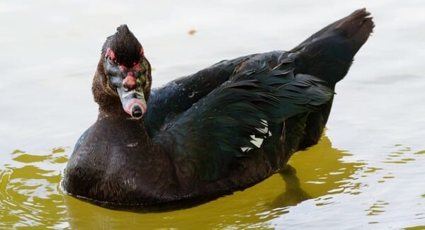 暮沉网创项目实战教学：从零开始，打造你的网络赚钱帝国