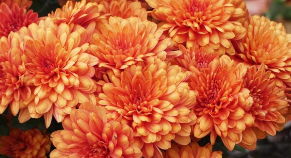 暮沉网创项目实战教学：想赚外快？这些正规平台值得一试：兼职网大揭秘