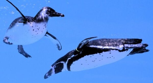 【创业心得分享】怎么网上创业？创业论坛网分享真实经验！