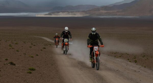 网赚好项目推荐：揭秘致富金点子，轻松实现网赚梦想