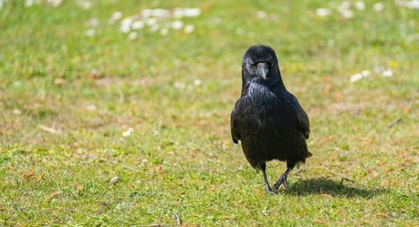 【实战分享】创业论坛网：揭秘最新网赚网站与轻松创业项目经验！