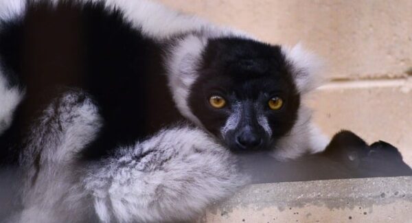 【百度搜索大数据在SEO中的应用】利用大数据优化SEO策略，提升网站曝光率