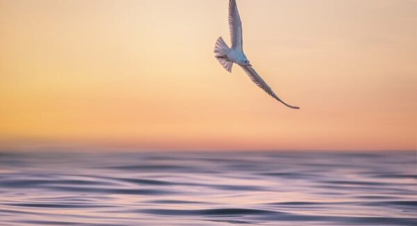 兼职网新选择：让你找到靠谱的赚钱平台