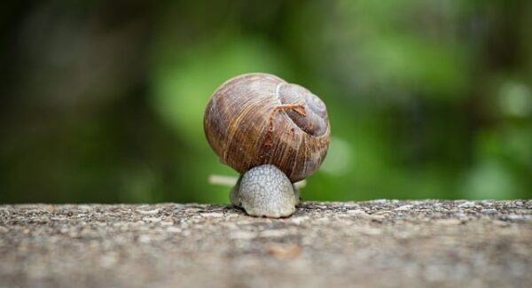 【最新网赚资源大全】创业项目论坛精选资源，助你在网络创业路上更进一步