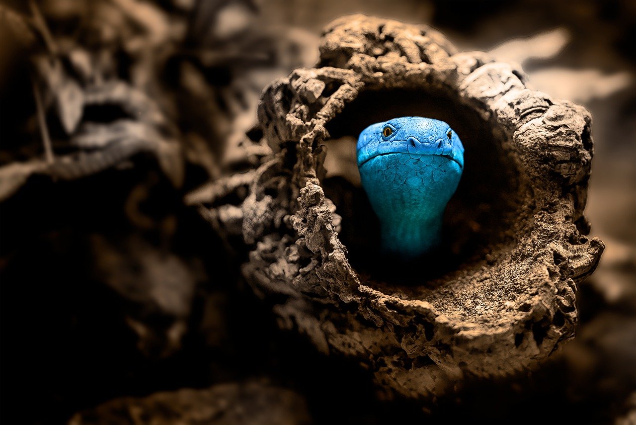 暮沉网创项目实战教学：如何在项目网站上找到适合你的网赚项目？