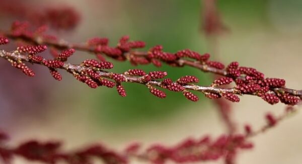 【竞价赚钱】最新竞价赚钱技巧，教你如何在网上免费赚钱项目中脱颖而出！