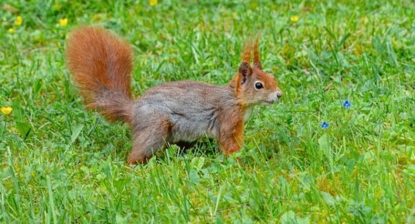 最新网赚动态解析：创业商机网带你把握网络赚钱新趋势，抓住每一个机遇