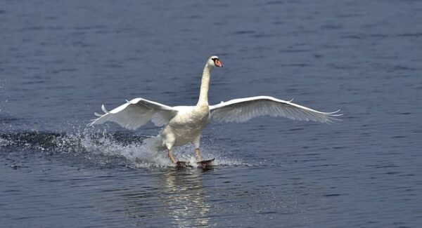 【SEO实战】SEO视频培训教程，网站优化课程助你提升排名！