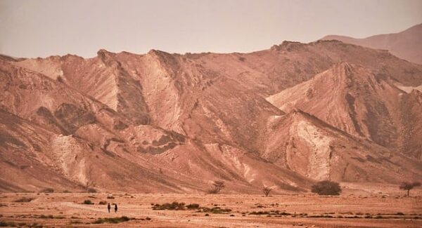 晚班兼职三小时100元？揭秘这些高薪副业