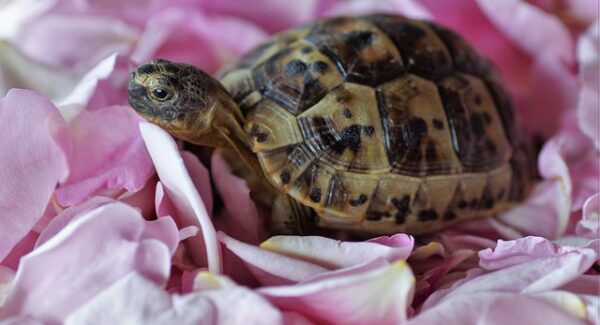 手机上赚钱新招：零花钱轻松到手