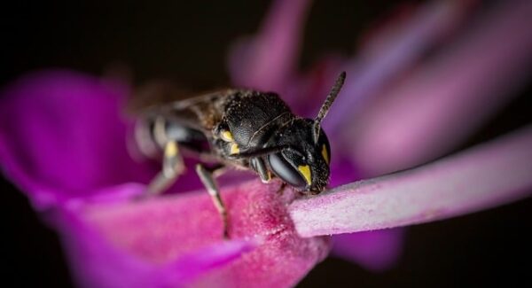 日入2000不是梦：微信做单30元一单，轻松实现网上兼职