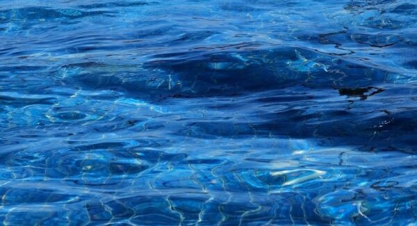 【网赚新手入门】免费网上赚钱入门指南，教你轻松迈出第一步！