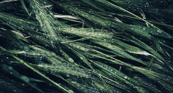 互联网创业论坛热议：如何成功开展网络创业？