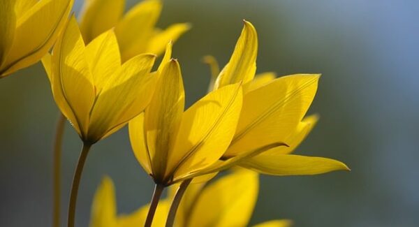 【网站优化实战】网站优化实战案例分享，助你快速提升网站排名！