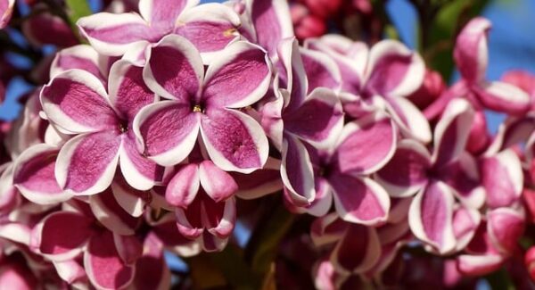 【暮沉网创之路】暮沉网创项目分享，实现你的创业梦想！