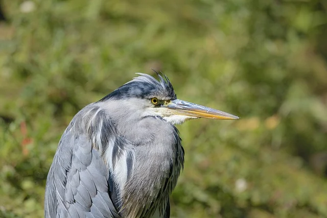 暮沉网创项目实战教学：手工活赚钱——150元/天，在家也能轻松实现财务自由