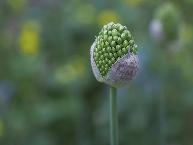 暮沉网创项目实战教学：投资20元翻倍，一小时赚500元