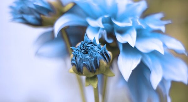 【淘宝网赚论坛热门话题】淘宝网赚论坛：网赚经验的交流盛宴