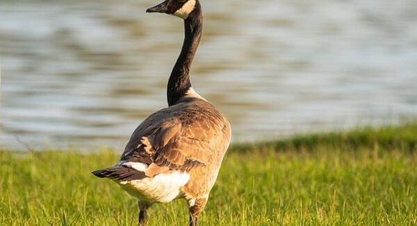 【项目网站源码定制服务】项目网站源码定制服务：个性化建站，提升竞争力
