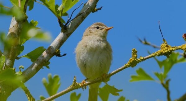 【赚钱网盘资源】赚钱网盘资源分享，助力你的网络创业