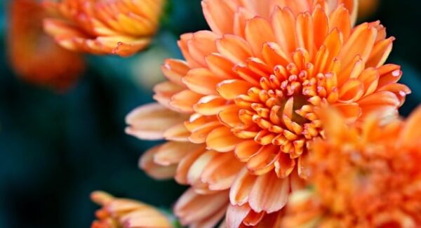 项目网站源码搭建教程 ，手把手教你搭建项目网站源码，轻松创业