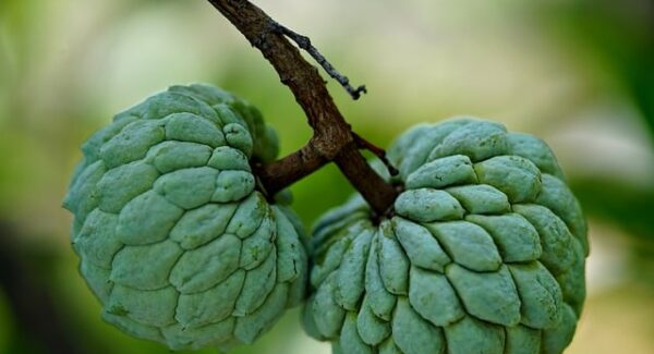 【SEO视频培训教程】专业SEO视频培训教程，助你提升网站排名！