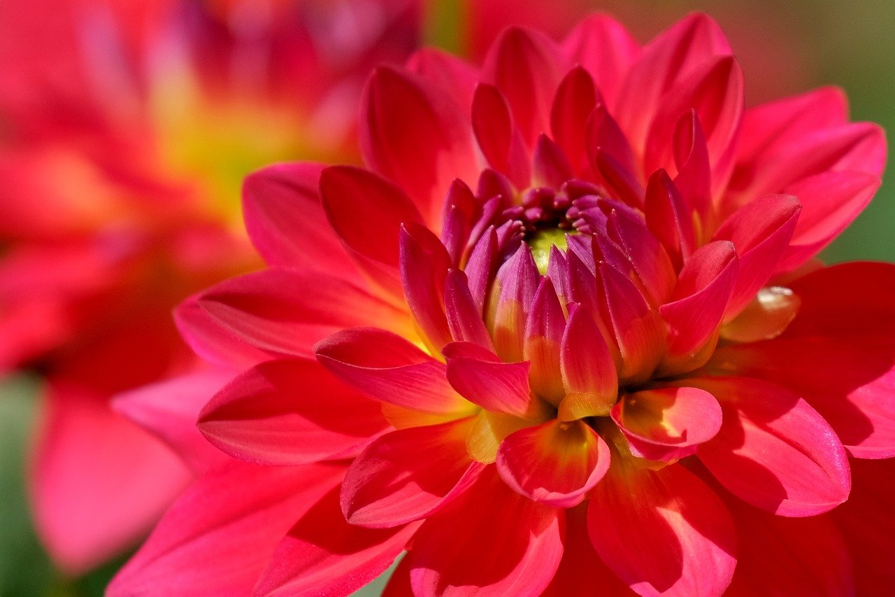 【关键词优化实战】关键词优化实战技巧分享，助你提升网站排名和流量！