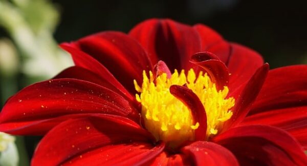 闷声赚钱10个副业：适合穷人翻身的最佳选择